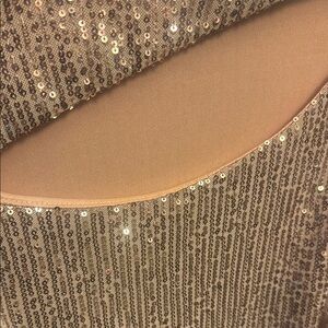 Sequin Embellished Dress